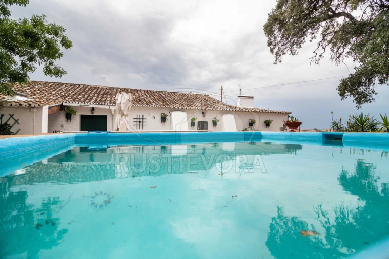 Quinta T8 para Venda em Bacelo e Senhora da Saúde Foto 54