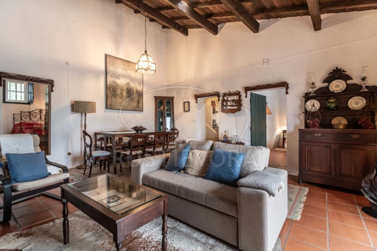 Quinta T8 para Venda em Bacelo e Senhora da Saúde Foto 75