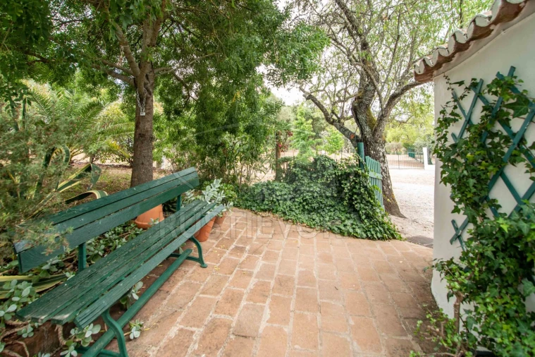 Quinta T8 para Venda em Bacelo e Senhora da Saúde Foto 97