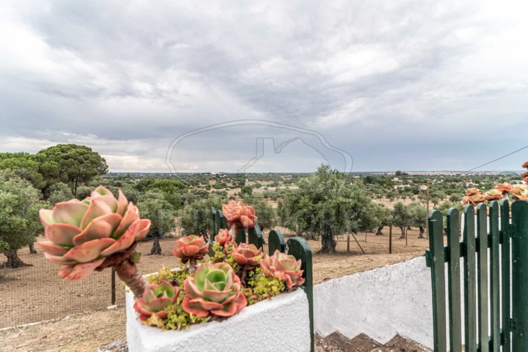 Quinta T8 para Venda em Bacelo e Senhora da Saúde Foto 101