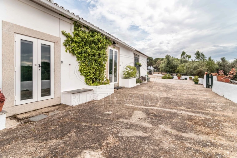 Quinta T8 para Venda em Bacelo e Senhora da Saúde Foto 8