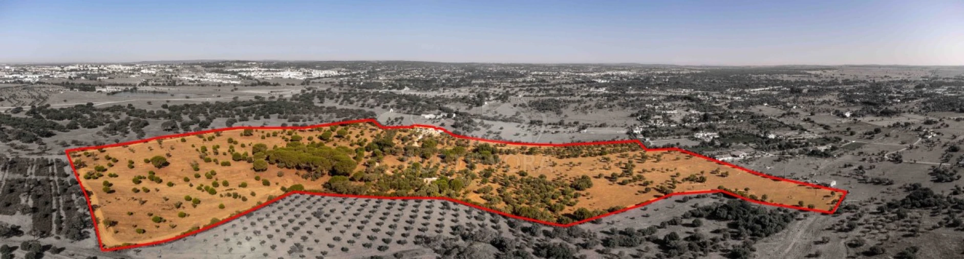 Quinta T8 para Venda em Bacelo e Senhora da Saúde Foto 12