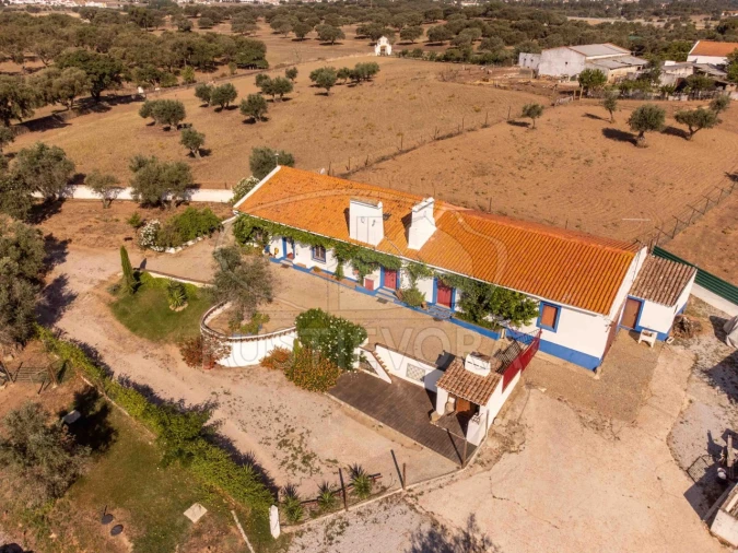 Quinta T8 para Venda em Bacelo e Senhora da Saúde Foto 9