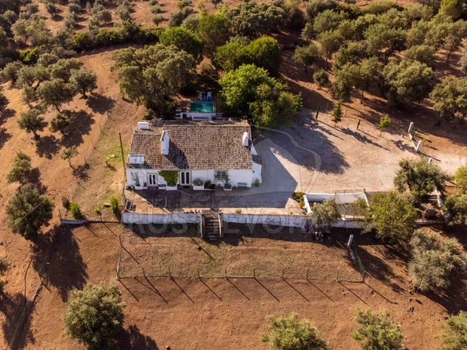 Quinta T8 para Venda em Bacelo e Senhora da Saúde Foto 6