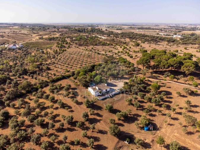 Quinta T8 para Venda em Bacelo e Senhora da Saúde Foto 123