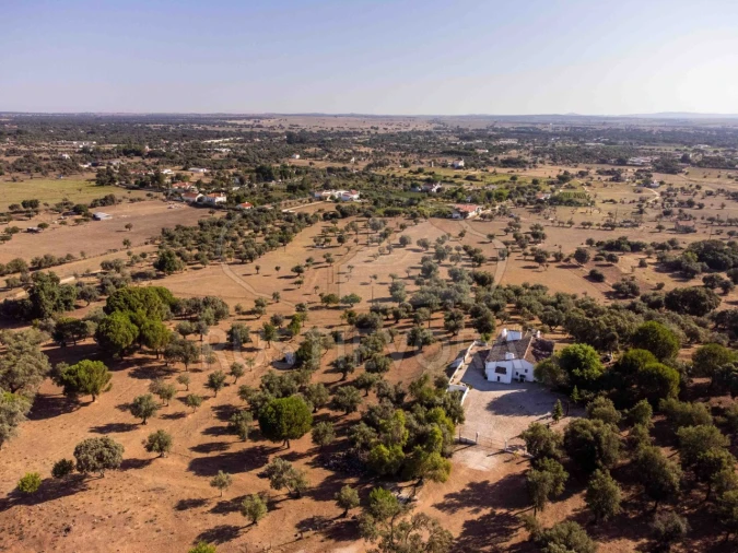 Quinta T8 para Venda em Bacelo e Senhora da Saúde Foto 124
