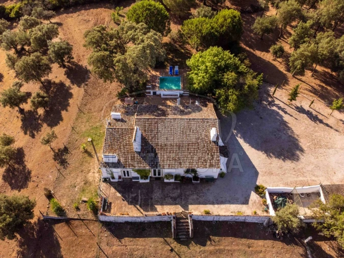 Quinta T8 para Venda em Bacelo e Senhora da Saúde Foto 127