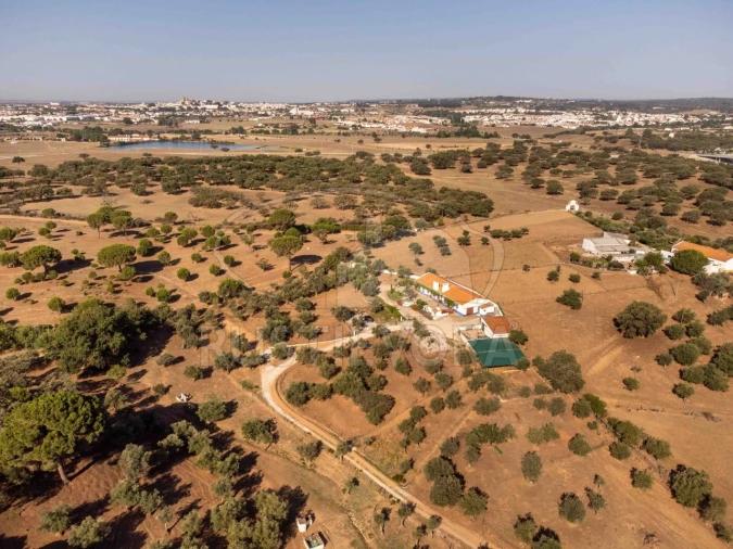 Quinta T8 para Venda em Bacelo e Senhora da Saúde Foto 129