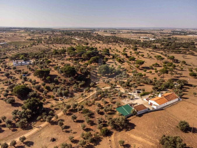 Quinta T8 para Venda em Bacelo e Senhora da Saúde Foto 130