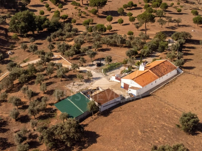 Quinta T8 para Venda em Bacelo e Senhora da Saúde Foto 131