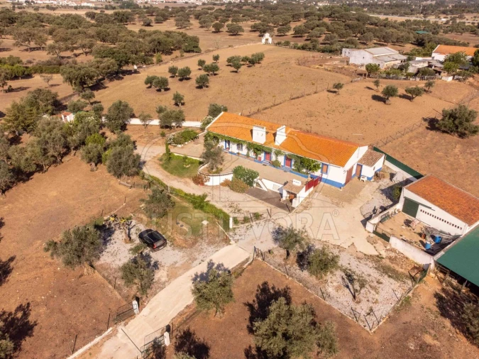 Quinta T8 para Venda em Bacelo e Senhora da Saúde Foto 132