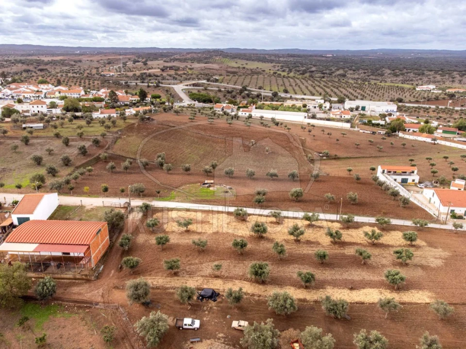Terreno para Venda em Monte do Trigo Foto 3