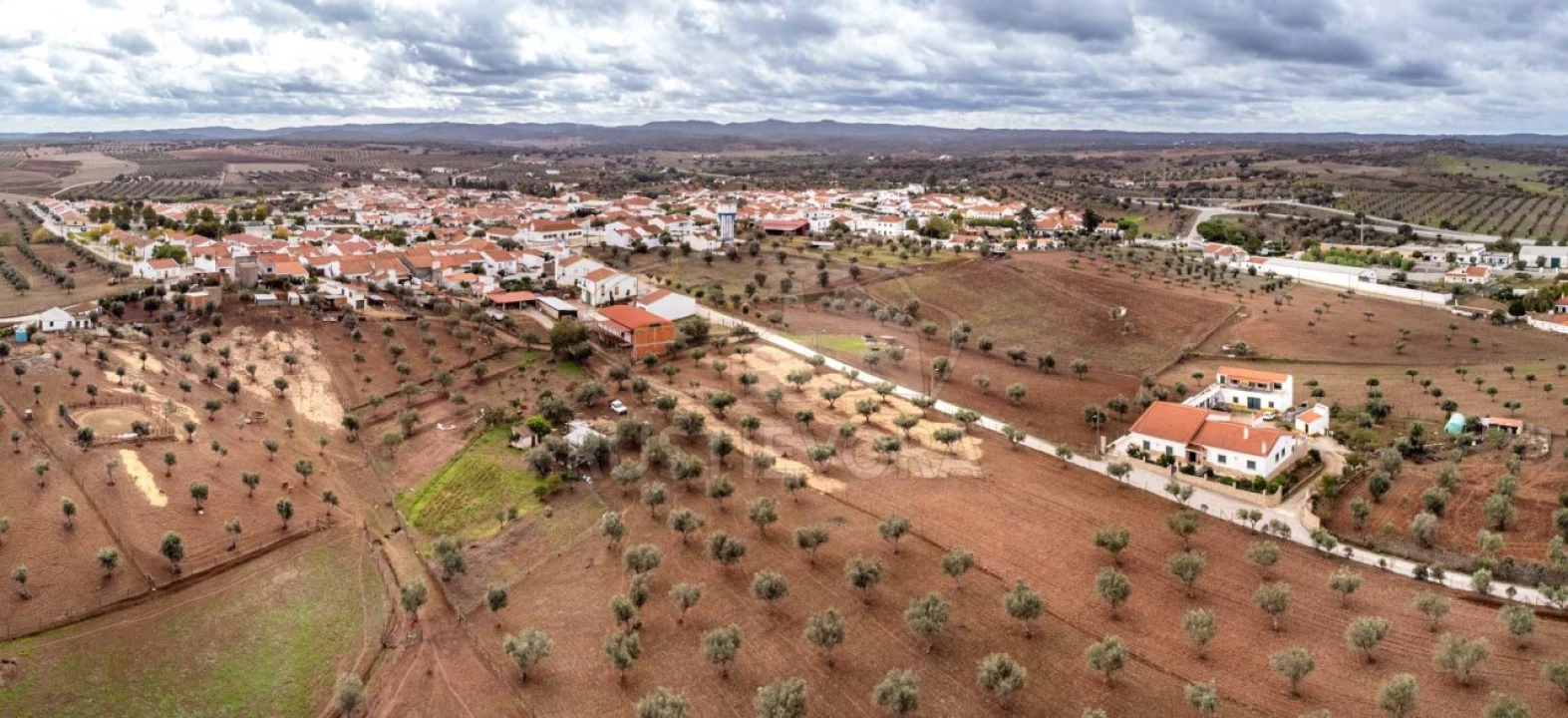Terreno para Venda em Monte do Trigo Foto 5