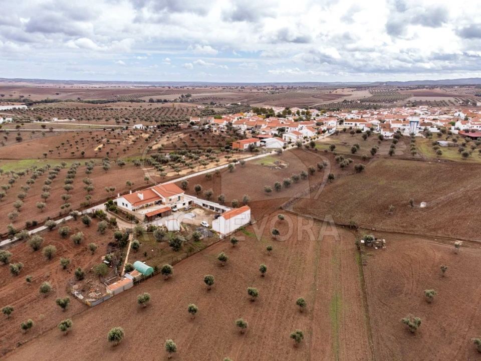 Terreno para Venda em Monte do Trigo Foto 8