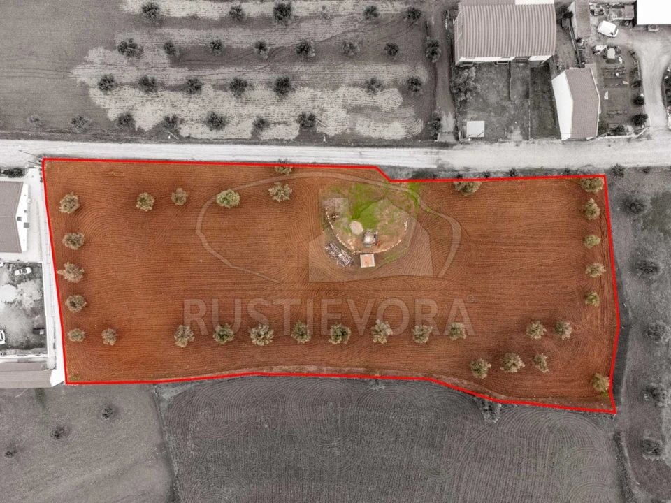 Terreno para Venda em Monte do Trigo Foto 11