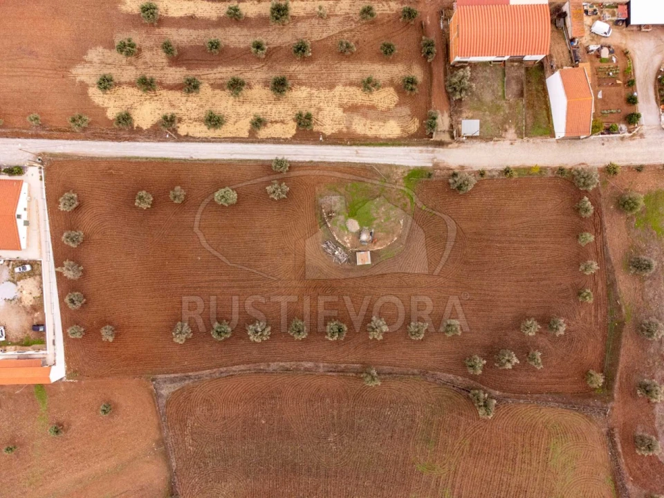 Terreno para Venda em Monte do Trigo Foto 12