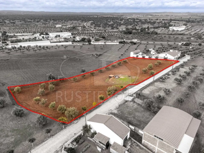 Terreno para Venda em Monte do Trigo Foto 2