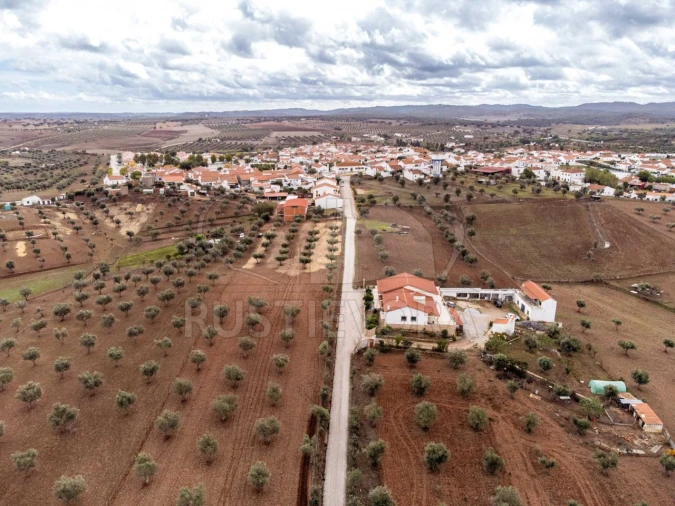 Terreno para Venda em Monte do Trigo Foto 7