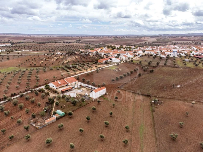 Terreno para Venda em Monte do Trigo Foto 8