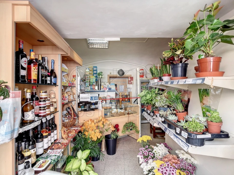 Loja para Venda em Évora (São Mamede, Sé, São Pedro e Santo Antão) Foto 18