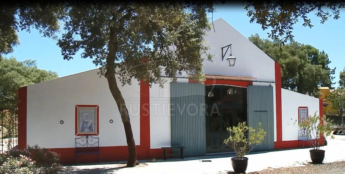 Quinta T14 para Venda em São Martinho Foto 33