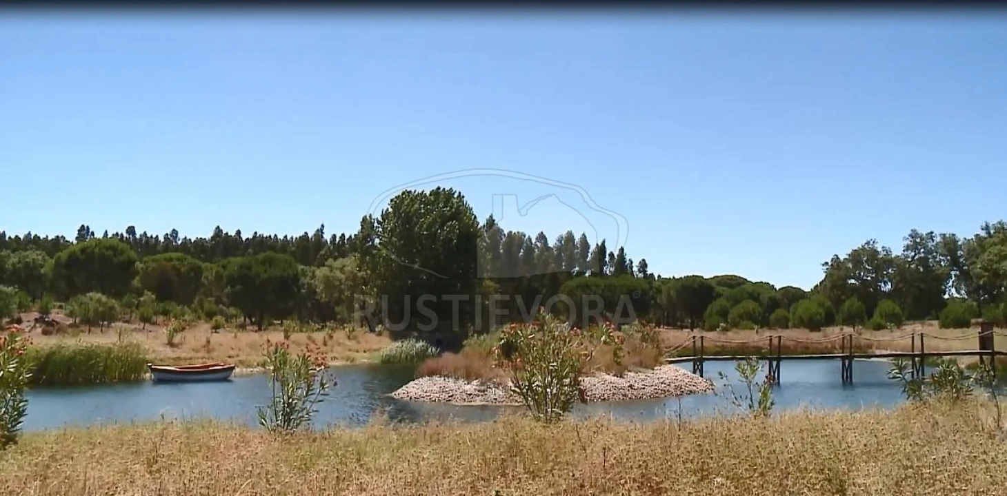 Quinta T14 para Venda em São Martinho Foto 74