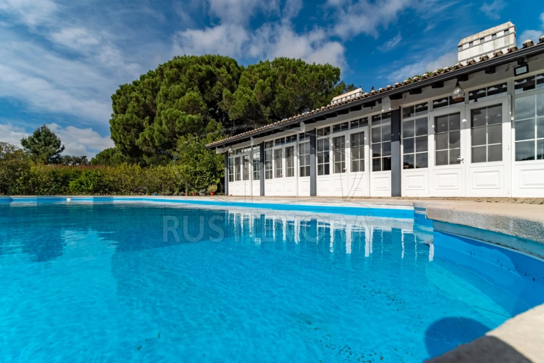 Quinta T14 para Venda em São Martinho Foto 13