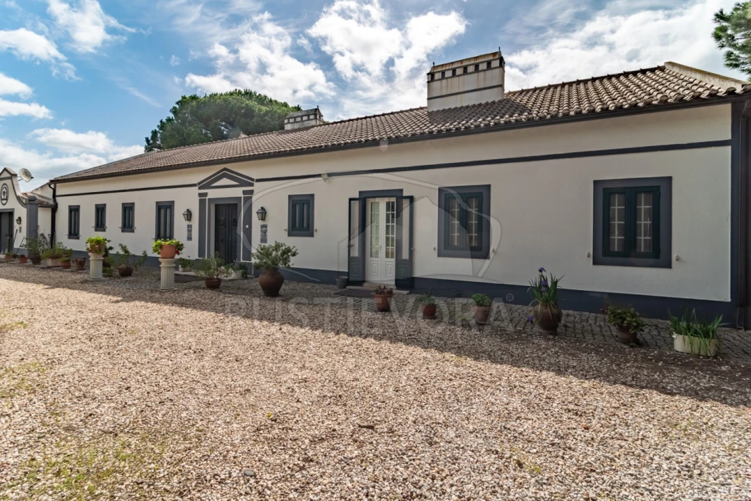 Quinta T14 para Venda em São Martinho Foto 1