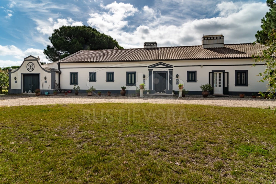 Quinta T14 para Venda em São Martinho Foto 4