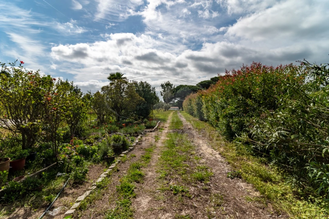 Quinta T14 para Venda em São Martinho Foto 10