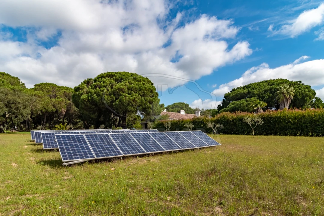 Quinta T14 para Venda em São Martinho Foto 16