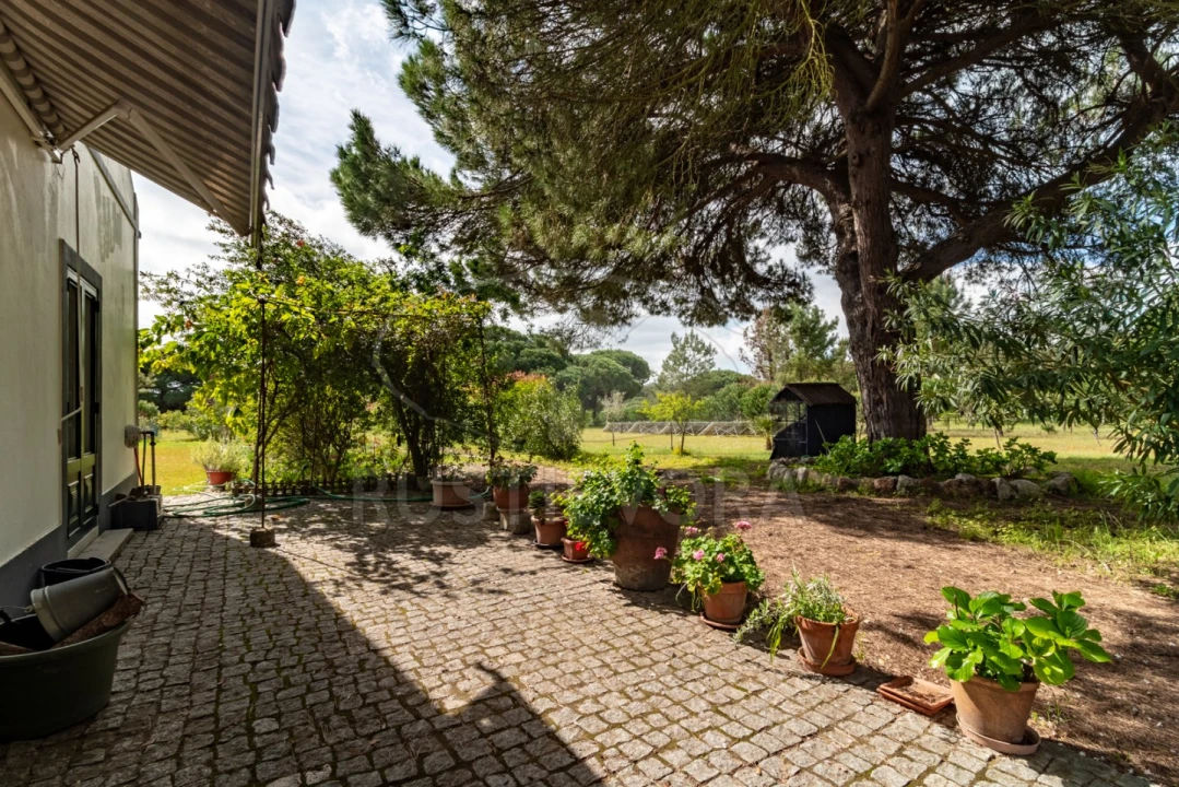 Quinta T14 para Venda em São Martinho Foto 12