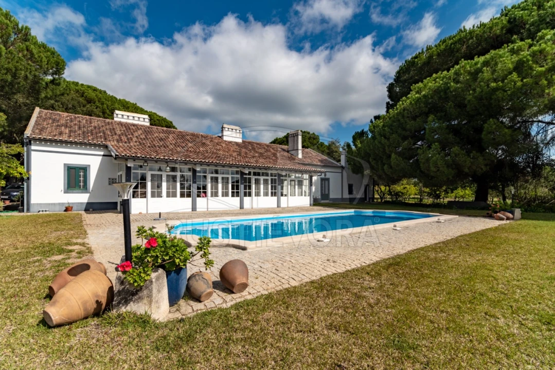 Quinta T14 para Venda em São Martinho Foto 2