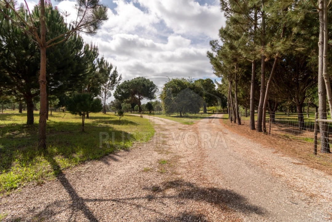Quinta T14 para Venda em São Martinho Foto 17