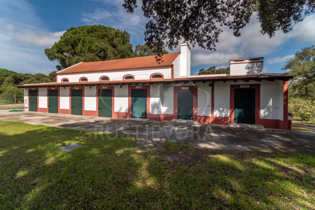 Quinta T14 para Venda em São Martinho Foto 9