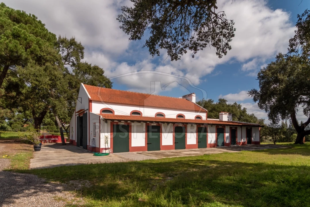 Quinta T14 para Venda em São Martinho Foto 18