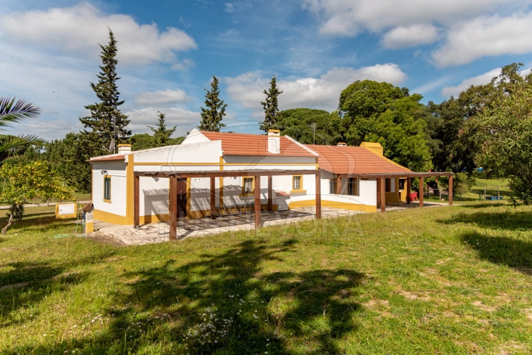 Quinta T14 para Venda em São Martinho Foto 5