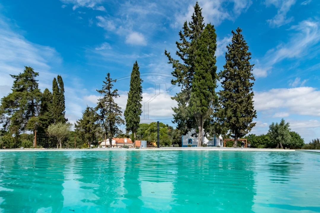 Quinta T14 para Venda em São Martinho Foto 8
