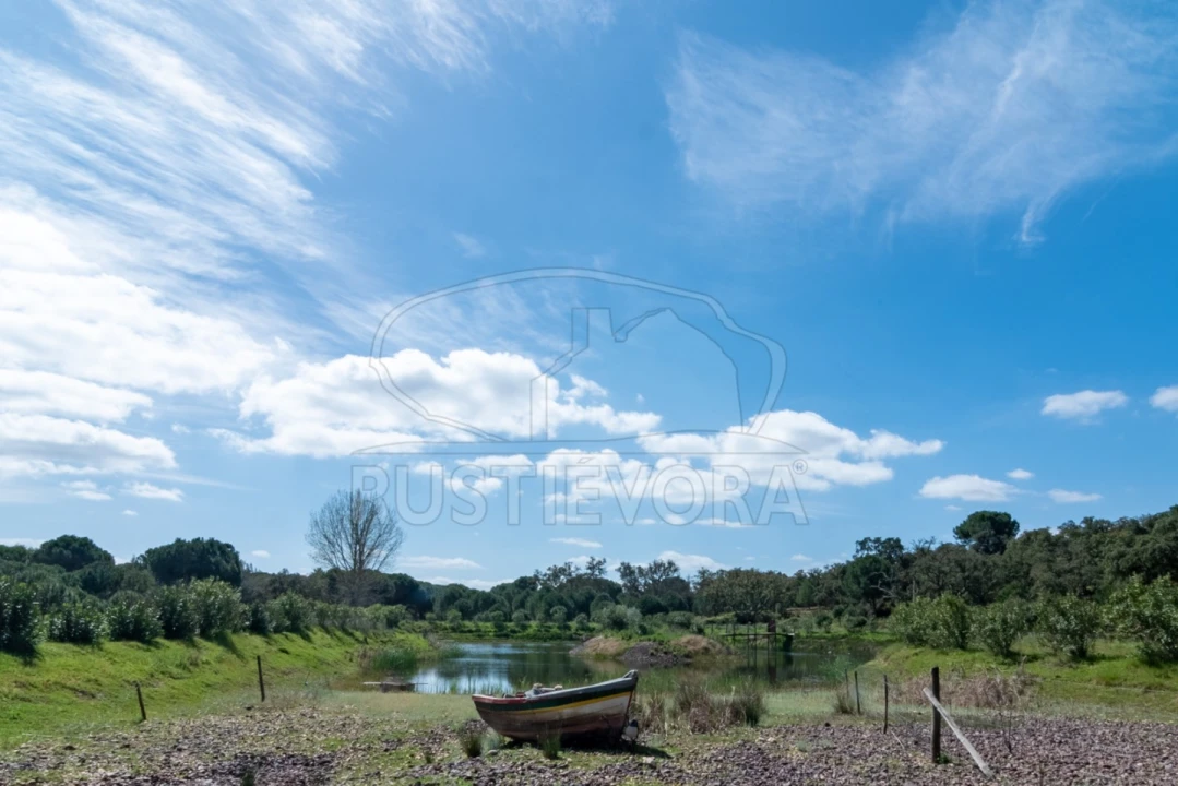 Quinta T14 para Venda em São Martinho Foto 70