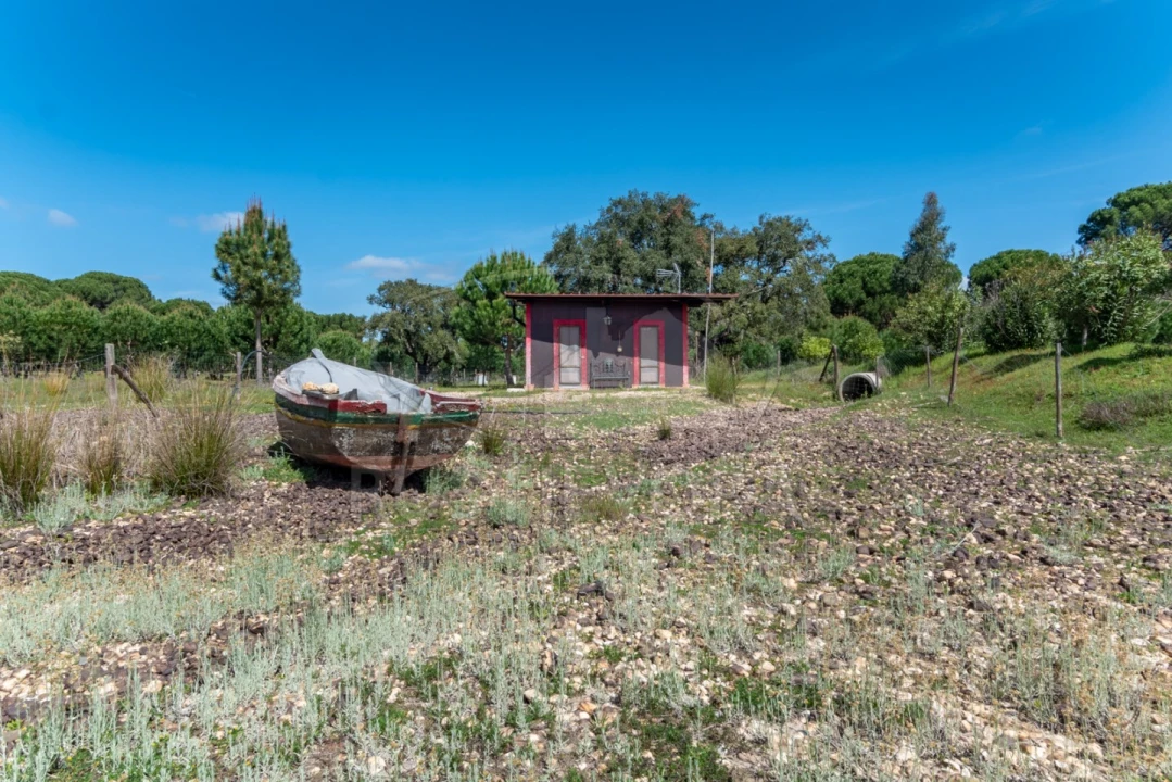 Quinta T14 para Venda em São Martinho Foto 72