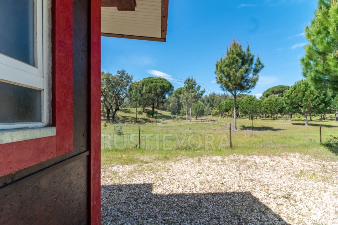 Quinta T14 para Venda em São Martinho Foto 73