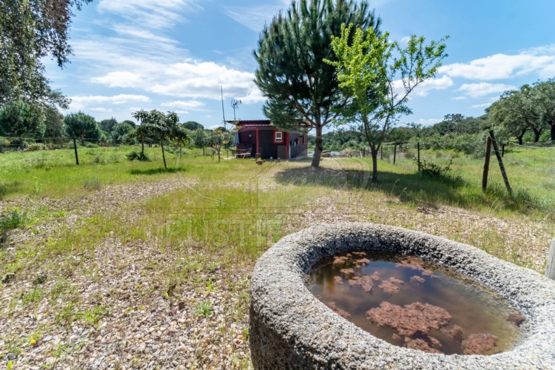 Quinta T14 para Venda em São Martinho Foto 68