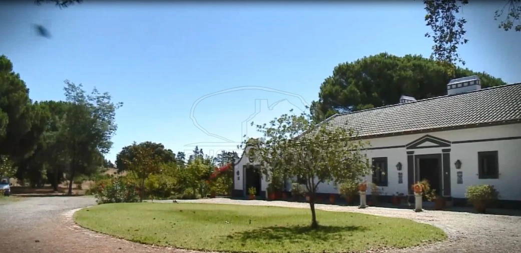 Quinta T14 para Venda em São Martinho Foto 36