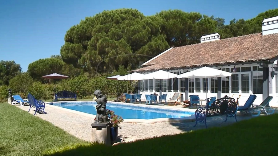 Quinta T14 para Venda em São Martinho Foto 65