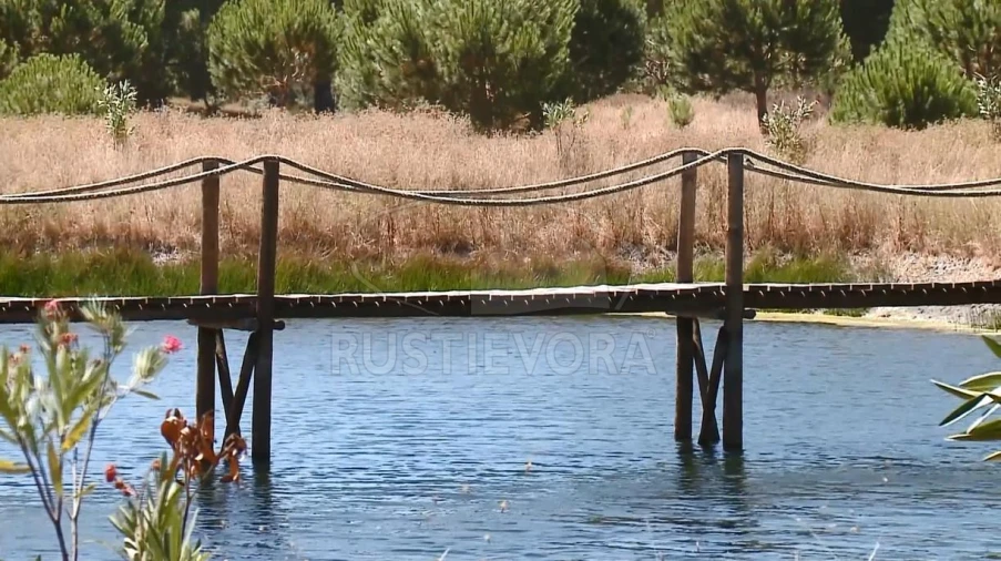 Quinta T14 para Venda em São Martinho Foto 67