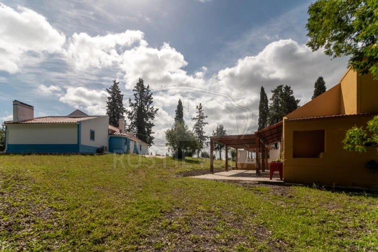Quinta T14 para Venda em São Martinho Foto 35