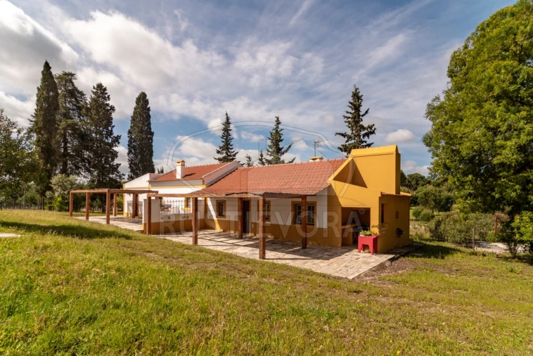 Quinta T14 para Venda em São Martinho Foto 20