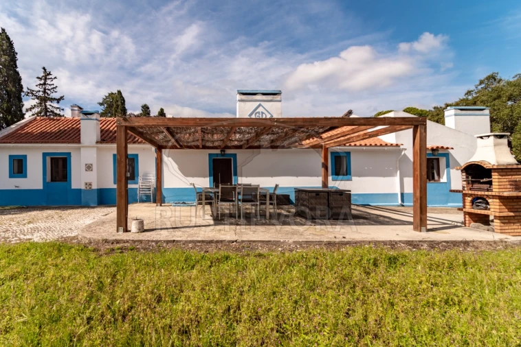 Quinta T14 para Venda em São Martinho Foto 27