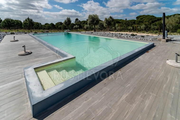 Quinta T14 para Venda em São Martinho Foto 31