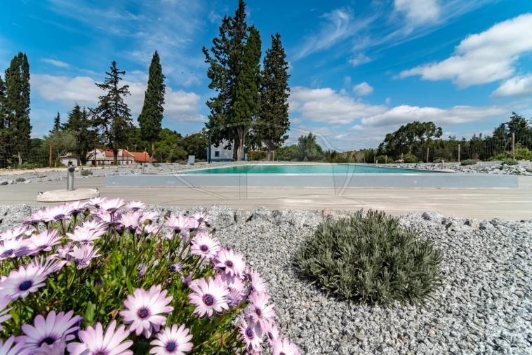 Quinta T14 para Venda em São Martinho Foto 25